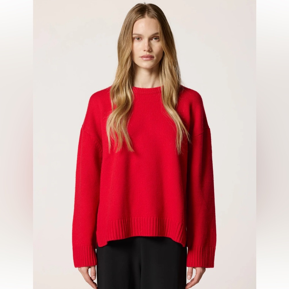 NWT Clyque Ilana Sweater